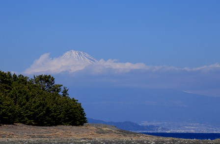 富士五湖めぐり_d0163550_1442218.jpg