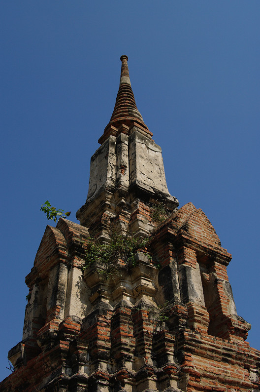 f0152550_2151355.jpg