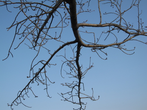 f0245650_1755342.jpg