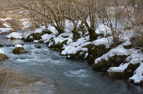 d0283357_17481987.jpg