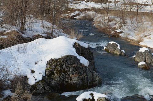 d0283357_17561687.jpg