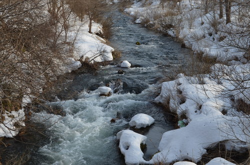 d0283357_1759991.jpg