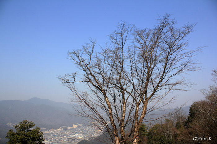 f0147858_2365544.jpg