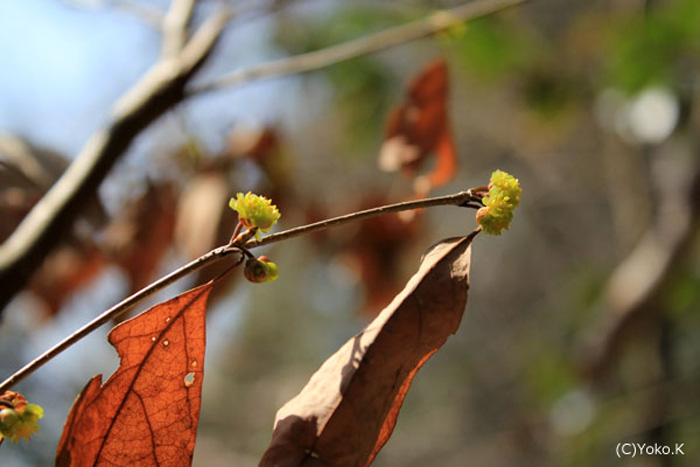 f0147858_2381179.jpg