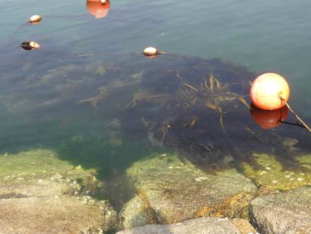c0108460_21314556.jpg