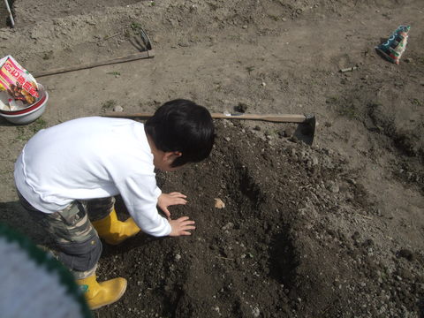 d0191262_15494251.jpg