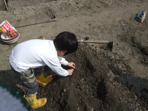 d0191262_15495975.jpg