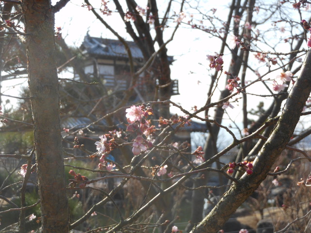c0001670_1150210.jpg