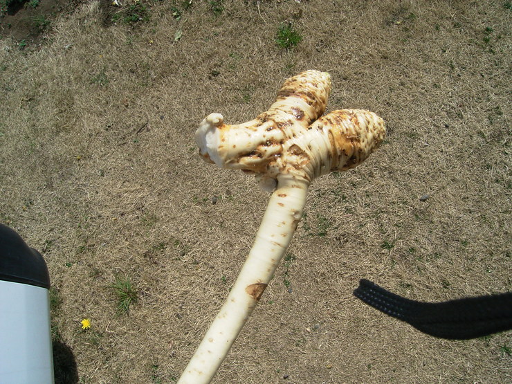 d0225575_21706.jpg
