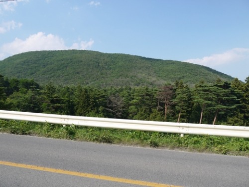 c0283778_18105854.jpg