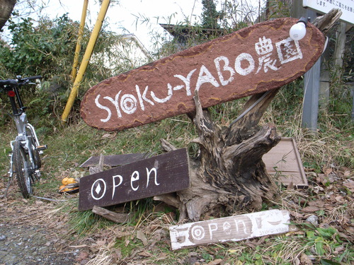 SHOKU-YABO農園_b0096881_18221556.jpg