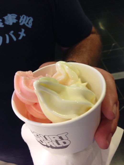 Yogurt Icecream_f0150785_19213847.jpg