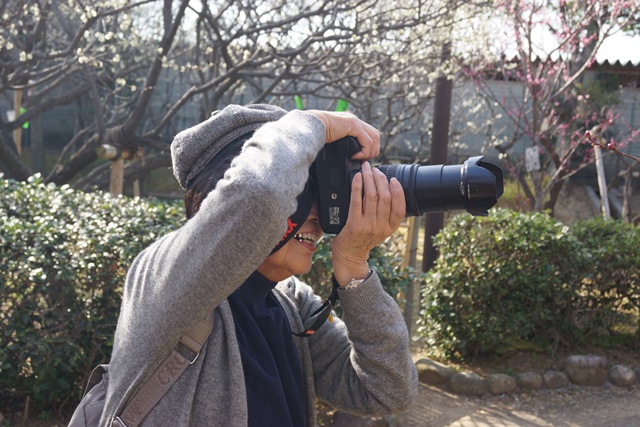 気仙沼の復興にかける菅原市長を応援、頑張れ気仙沼、小野寺大臣にお願い、甲東公民館の梅林は日本一_d0181492_23263998.jpg