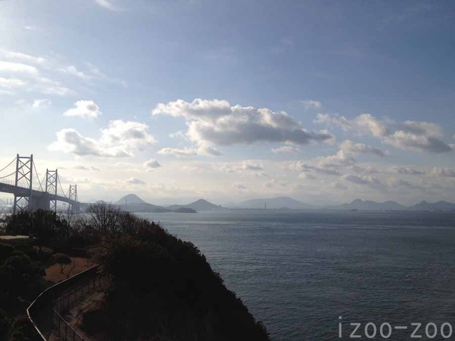 1月、ひさびさ愛媛帰省_c0223095_17171237.jpg