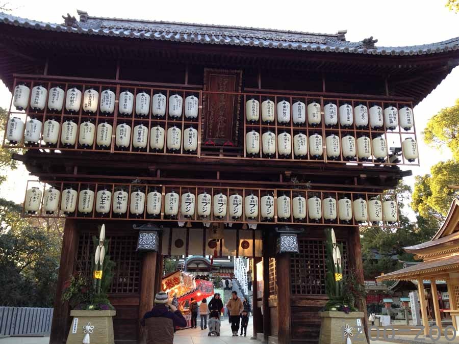 1月、ひさびさ愛媛帰省_c0223095_17211363.jpg