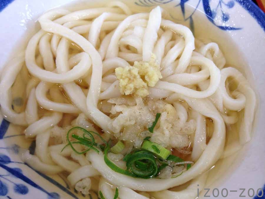 1月、ひさびさ愛媛帰省_c0223095_17225267.jpg