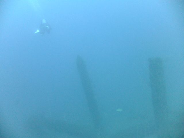 f0053895_15555261.jpg