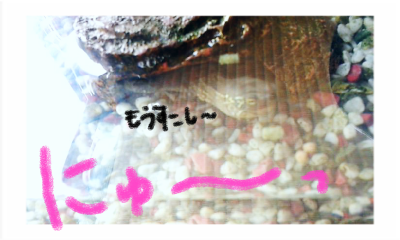 a0205596_20401490.png