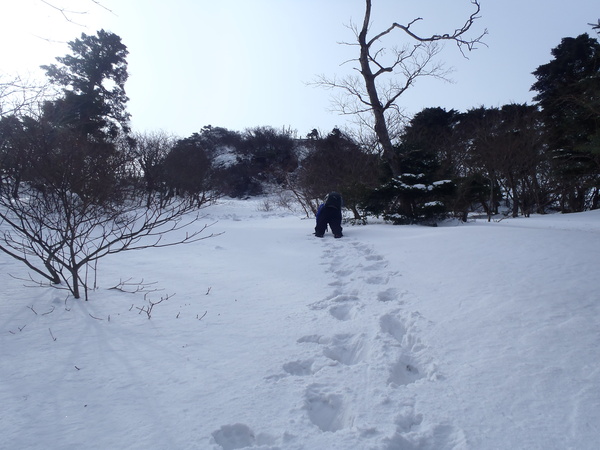 春ですね_d0178999_14525795.jpg