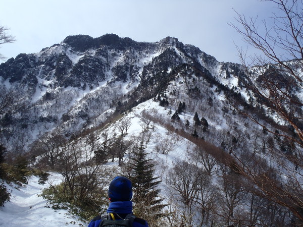 春ですね_d0178999_1459319.jpg