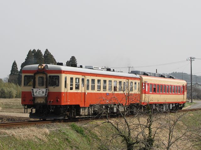 【いすみ鉄道】キハ28+キハ52急行列車運行開始_d0255902_21281627.jpg