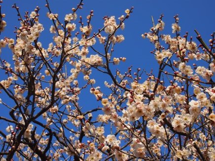 東日本大震災からまる２年(2013.03.10)_e0245404_1022305.jpg