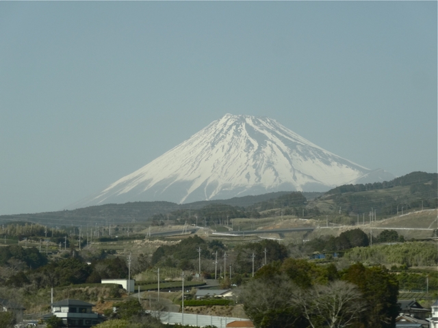 大坂春の陣_f0135006_18193149.jpg