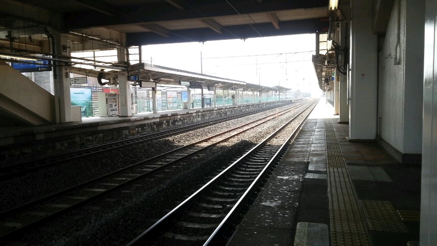 f0155808_10463270.jpg