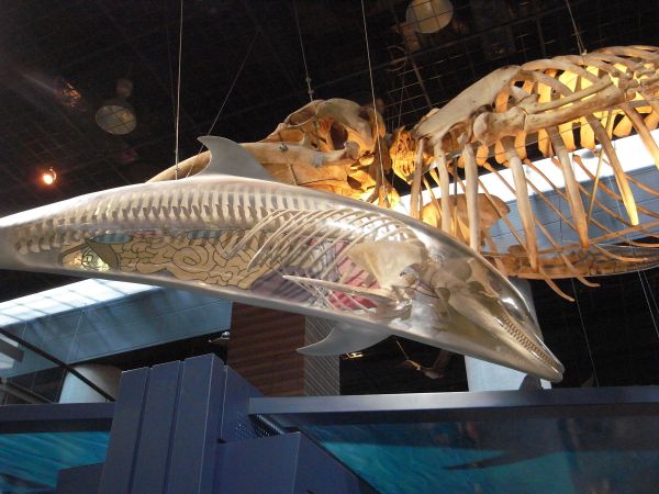 c0164709_1234482.jpg