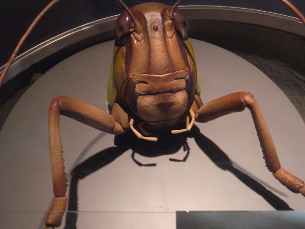 c0164709_1235685.jpg