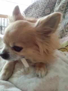e0309011_10325579.jpg