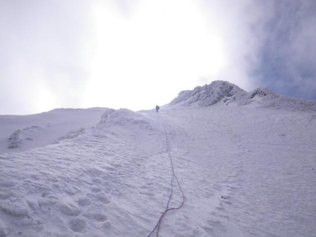 d0006512_15204016.jpg