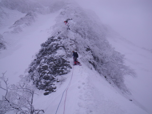 d0006512_1584267.jpg