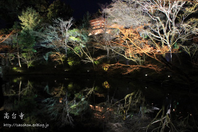 京都東山花灯路～高台寺～_a0020615_23283579.jpg