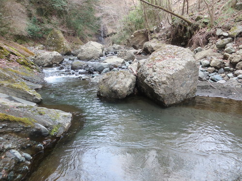 b0121015_14272812.jpg