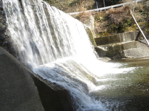 b0121015_1429216.jpg