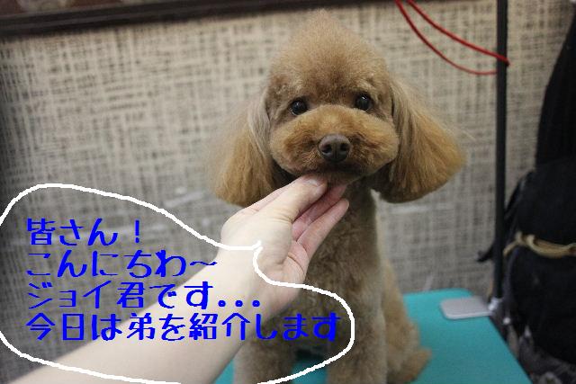 おはよ～ございます！！_b0130018_03079.jpg