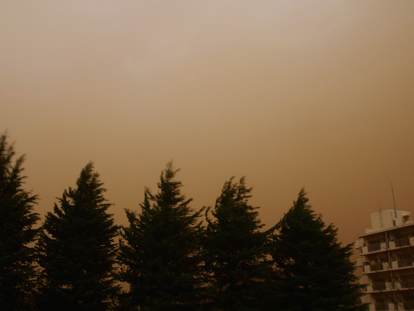 e0098223_13585926.gif