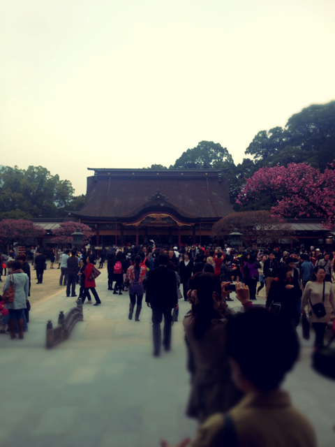 b0231928_22593569.png