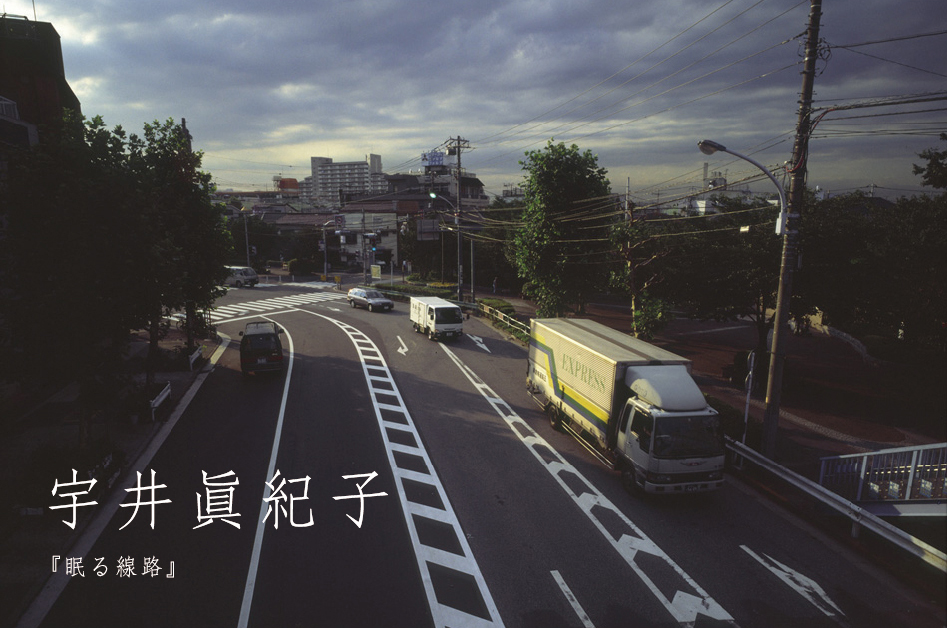 宇井眞紀子氏 「東京画」参加のお知らせ_b0187229_1522716.jpg