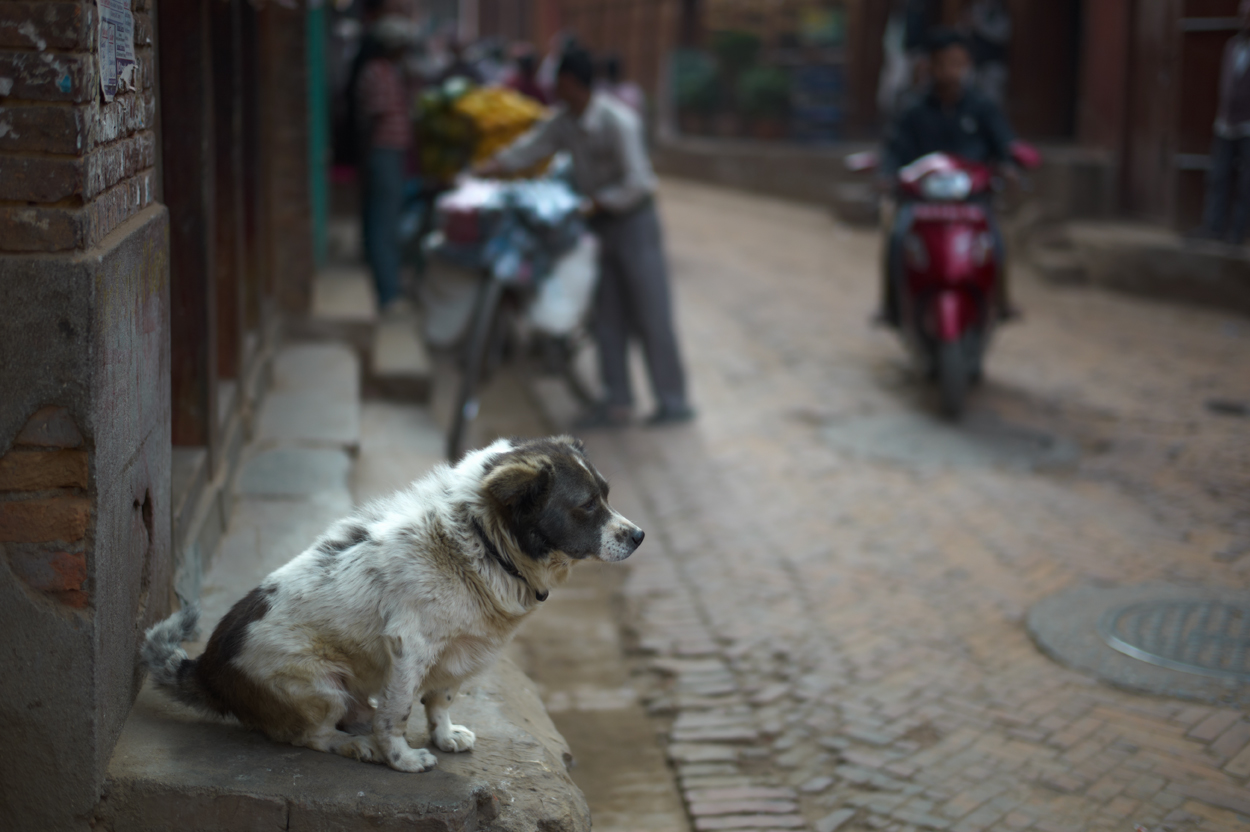 Bhaktapur photos_c0116732_917312.jpg