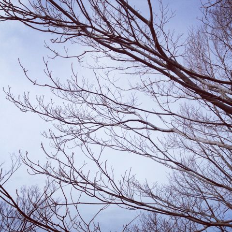 そして、日曜日_e0131432_21542644.jpg