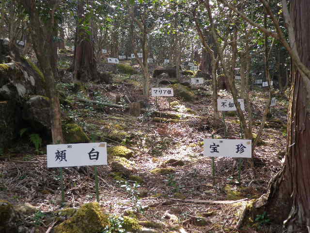 e0241833_149474.jpg