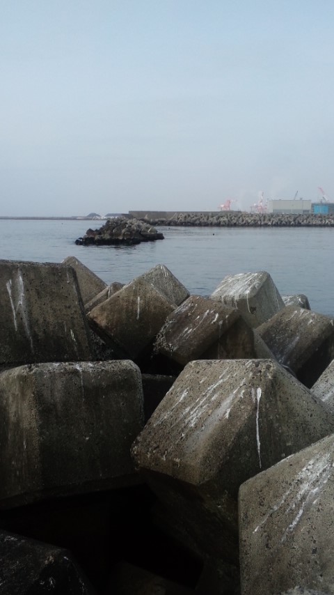 -_b0128238_7143465.jpg