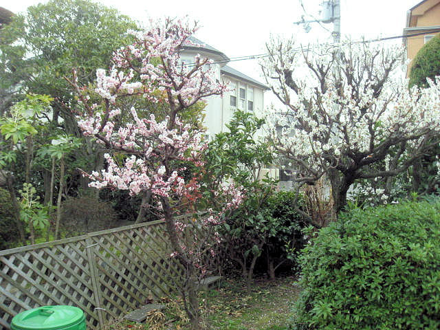 a0149240_8584435.jpg