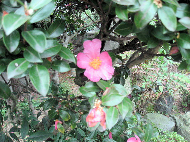 a0149240_92974.jpg