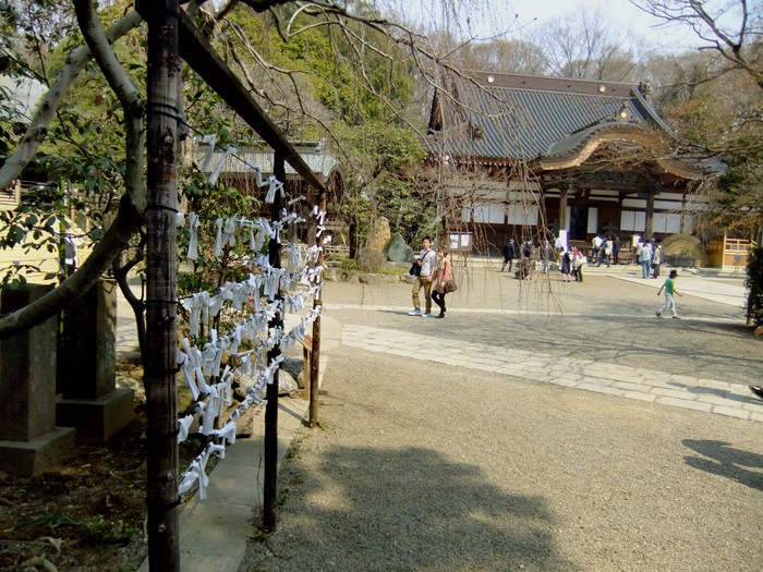 春の深大寺_d0166643_173102.jpg