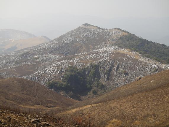 e0164643_1541658.jpg