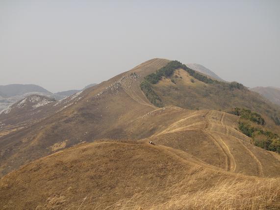 e0164643_15436100.jpg
