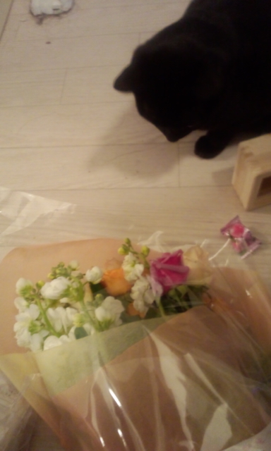 お花ありがとうございます_e0114246_4322241.jpg